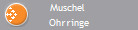 Muschel 
Ohrringe